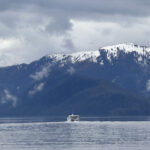 a1a3a8ea 01b7 41fa a56c 0b9bd14615