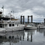 Lightwave Greenline 40